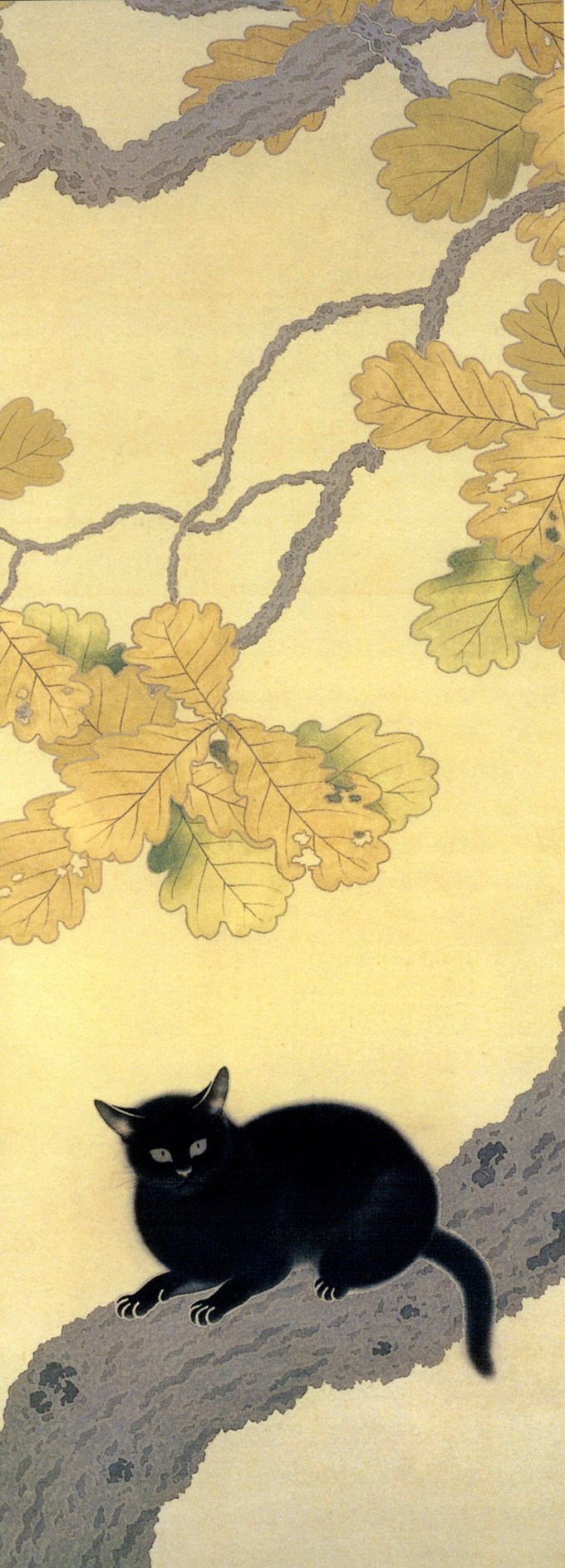 WP_kameokahishidacat