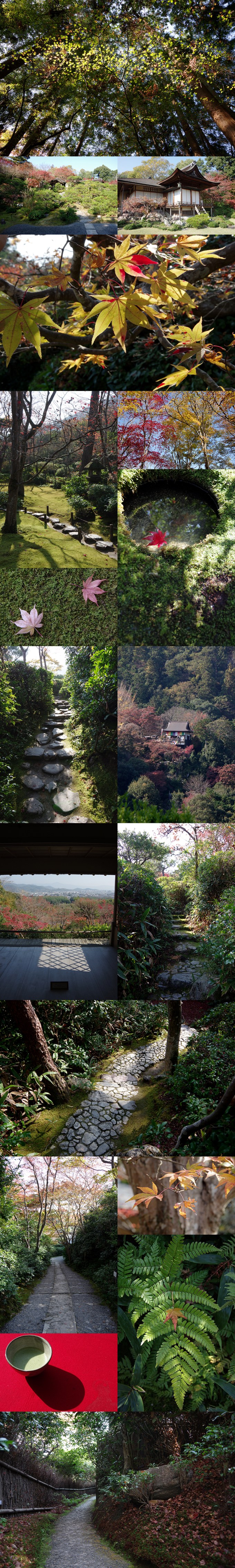 WP_momiji_arashiyama_5