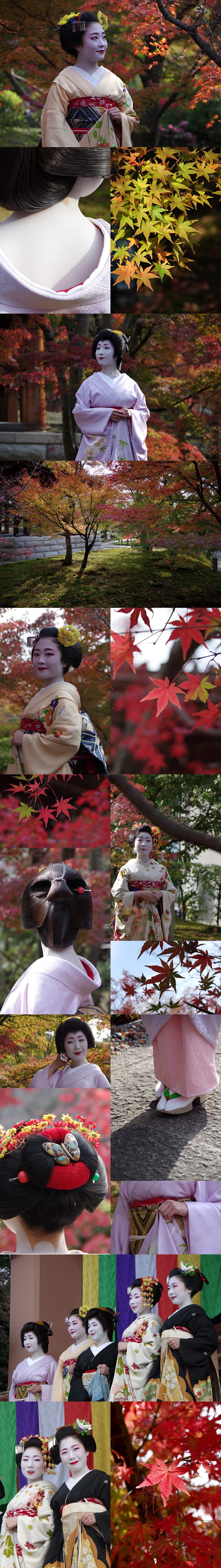 WP_maiko_momiji_3