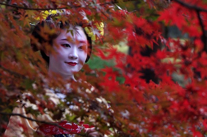 WP_maiko_momiji_FB_3