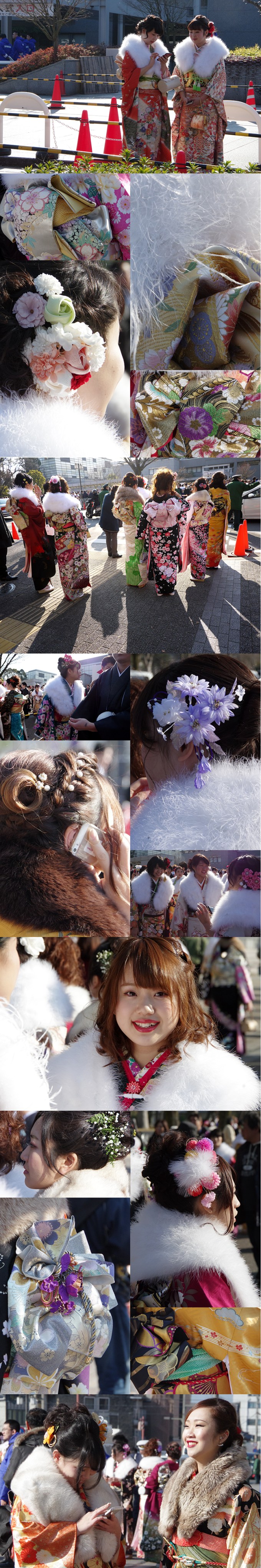 WP_seijin_shiki_tapis_2