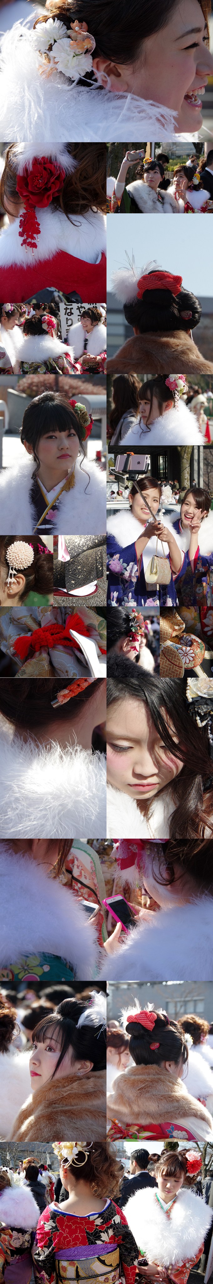 WP_seijin_shiki_tapis_6