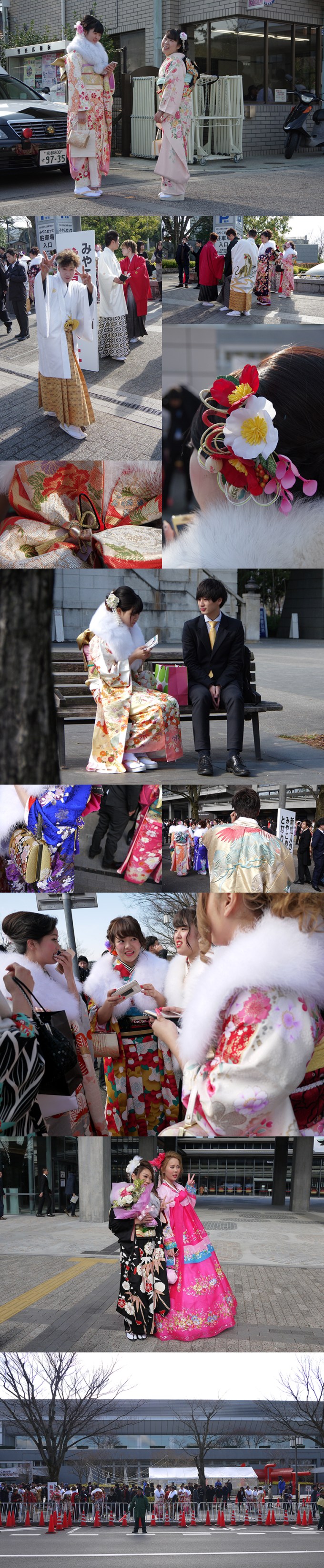 WP_seijin_shiki_tapis_8