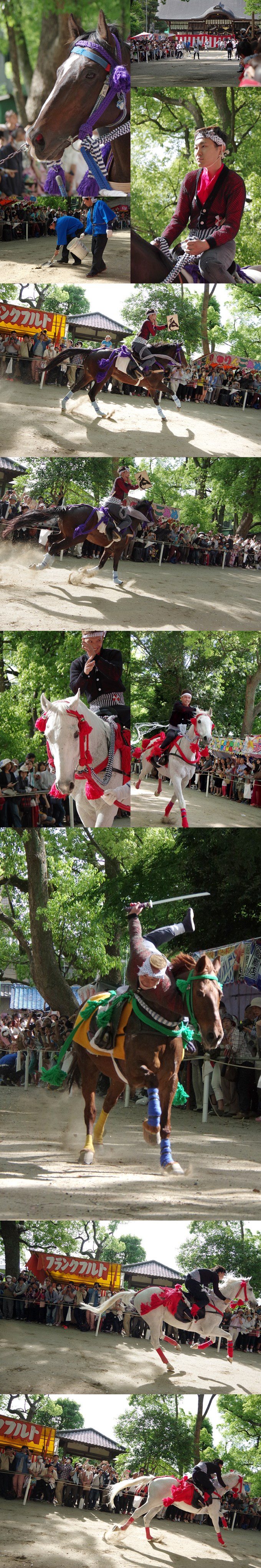 WP_fujinomori_2