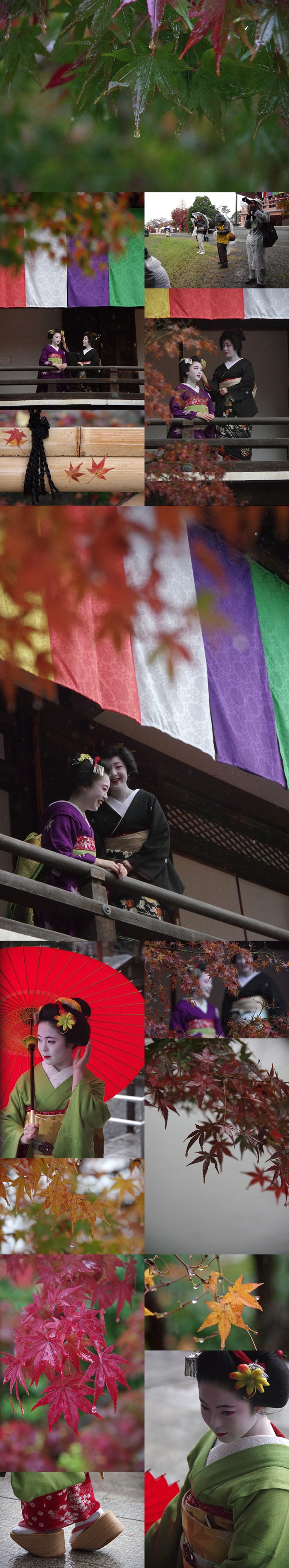 wp_maiko-session-november_5